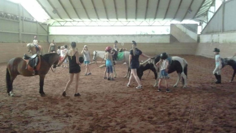 Reiten in der Halle, © Franz Inghofer Reiten in der Halle, © Franz Inghofer