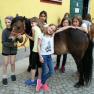 Pony-Kuscheln, © Franz Inghofer Pony-Kuscheln, © Franz Inghofer