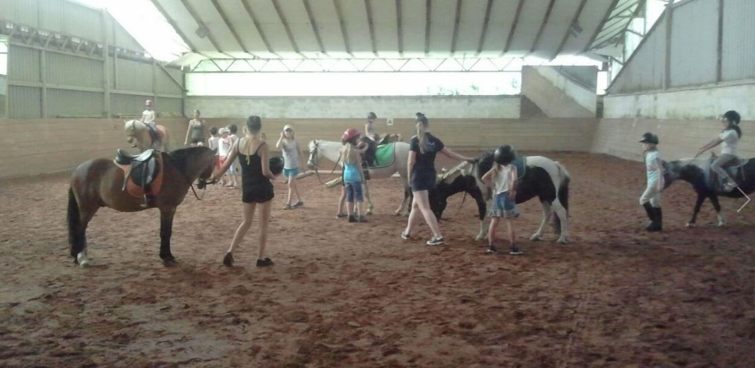 Reiten in der Halle