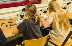 Kinder sitzen vor Mikroskopen