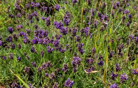 Naturparkkonzept, &copy; Wolfgang Dolak