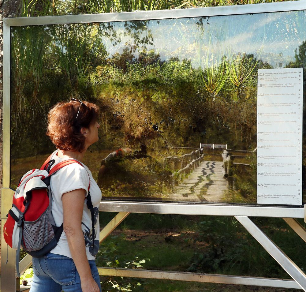 Eine Frau blickt auf ein Bild vom Prügelsteg auf welchem die wichtigen Jahreszahlen und Geschehnisse abgebildet sind. 