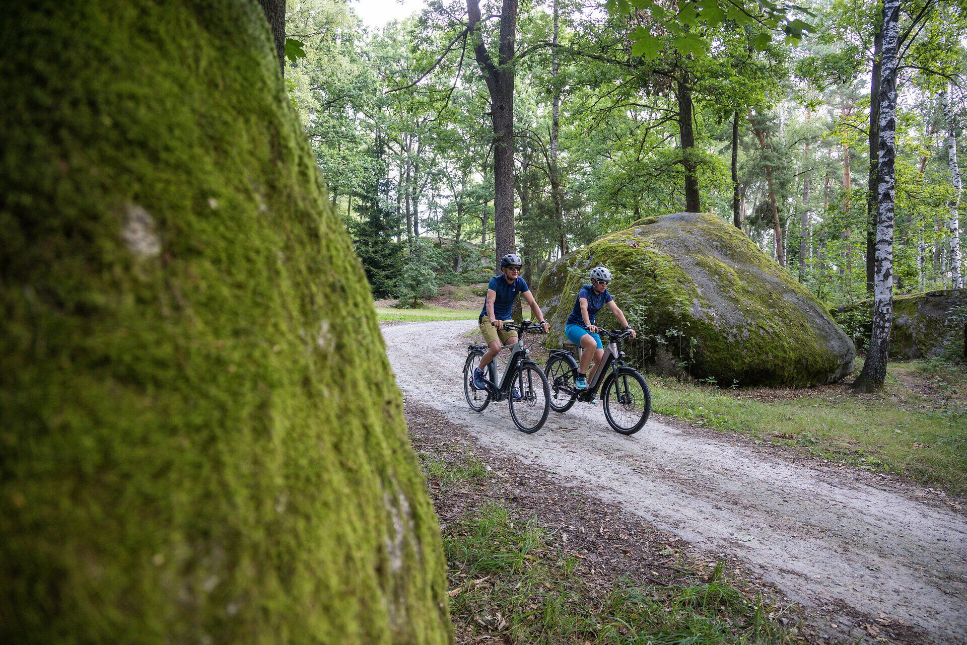 Zwei Radfahrer gleiten entspannt auf einem schmalen Weg durch den üppigen Wald, umgeben von majestätischen Felsen und der frischen Luft des Naturparks. Die sanften Sonnenstrahlen durchdringen das Blätterdach und schaffen eine einladende Atmosphäre für Abenteuerlustige und Naturliebhaber.