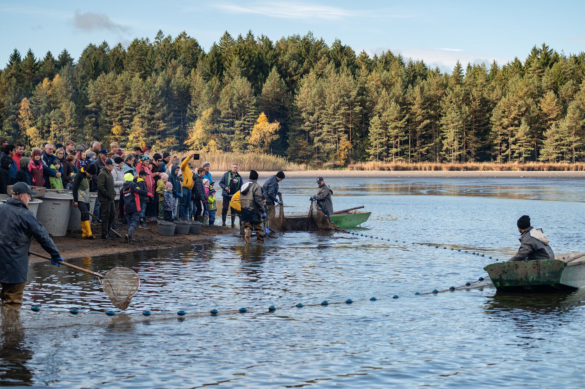 Ein lebhaftes Fest am Ufer des Bruneiteichs zieht zahlreiche Besucher an, die gespannt dem Abfischen der Karpfen zusehen. Die frische Luft und die bunten Herbstfarben der Umgebung schaffen eine einladende Atmosphäre, während die Teilnehmer mit Netzen und Körben aktiv am Geschehen teilnehmen.