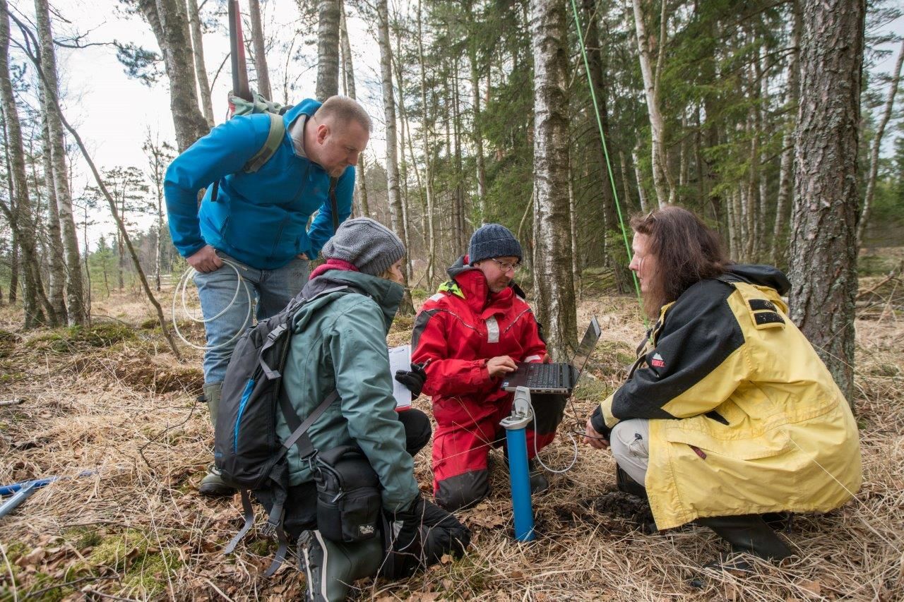 4 Personen im Moor, die auf einen Laptop schauen und Messdaten auslesen