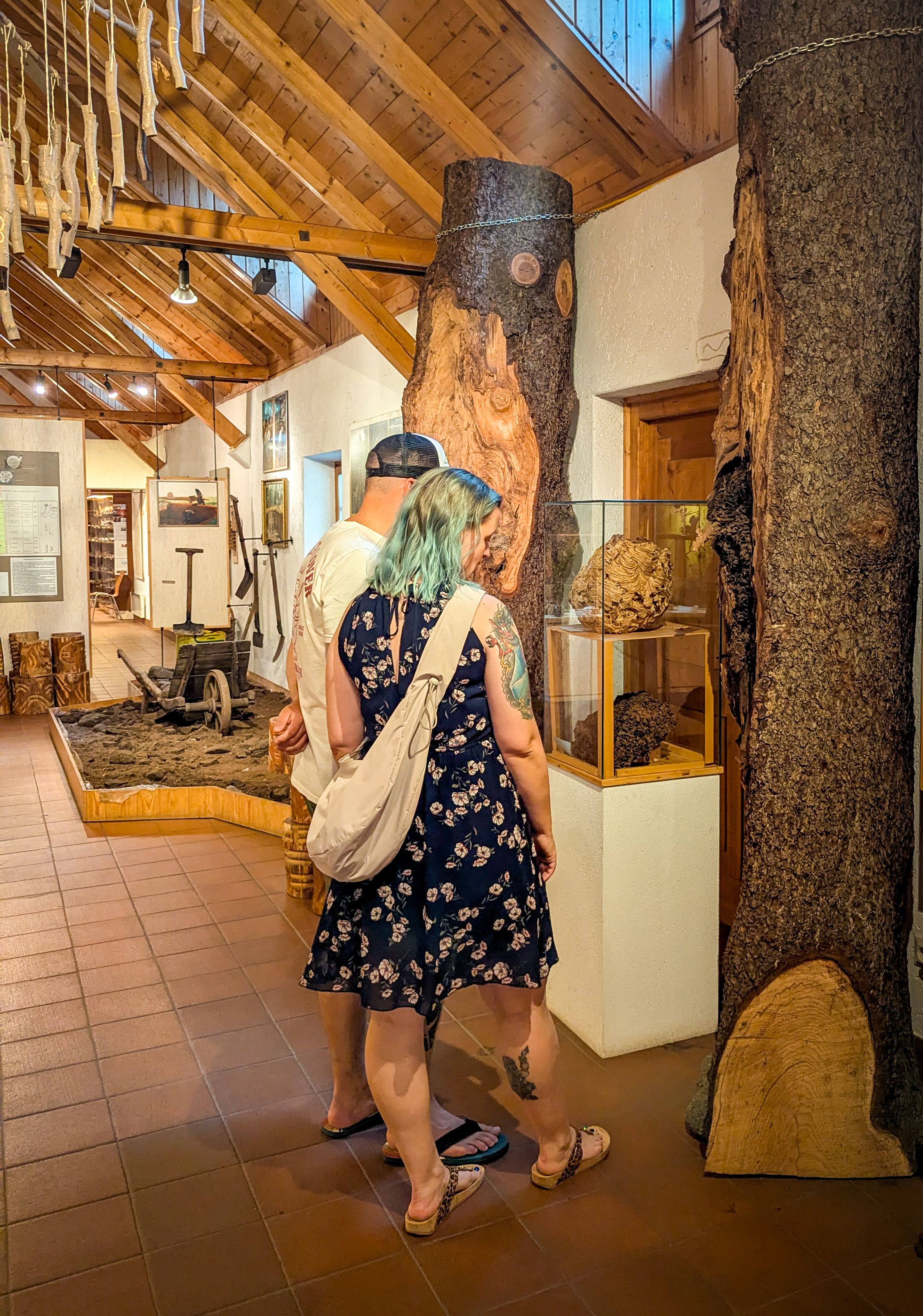 Haus des Moores, Klein Pertholz