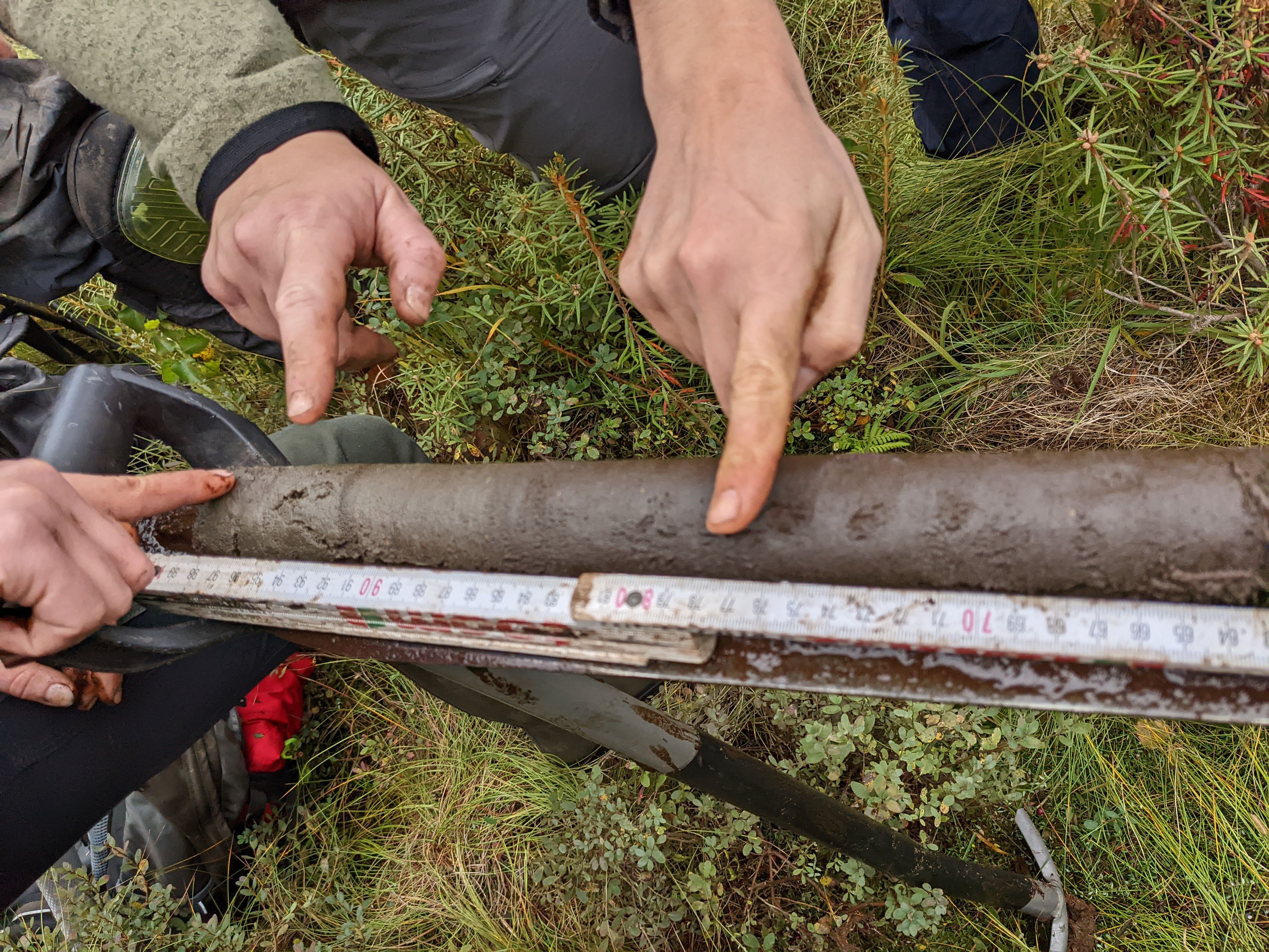 Mehrere Finger zeigen auf einen Bohrkern aus der Torfschicht