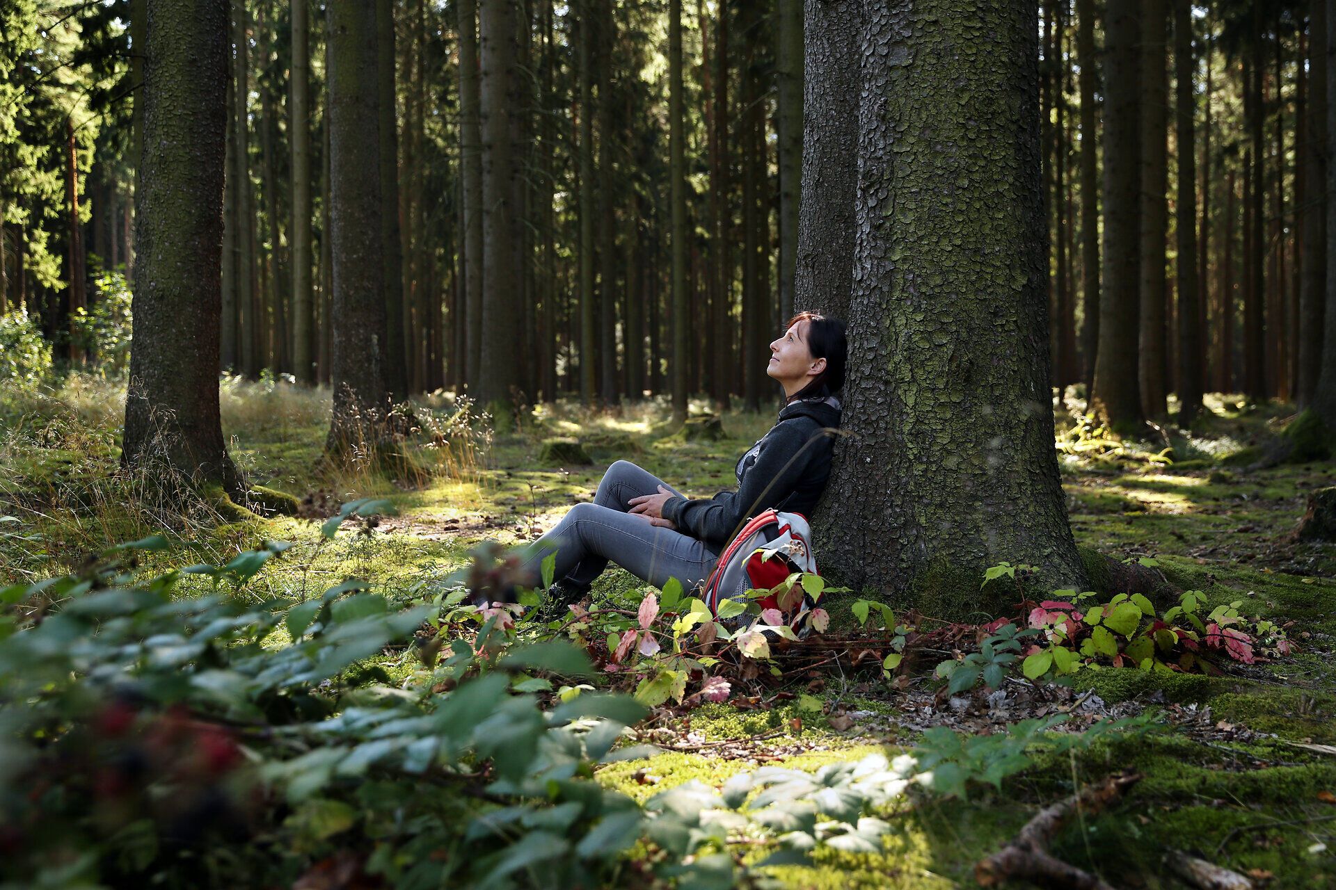 Eine Frau lehnt entspannt an einem Baum und blickt in den Wald.