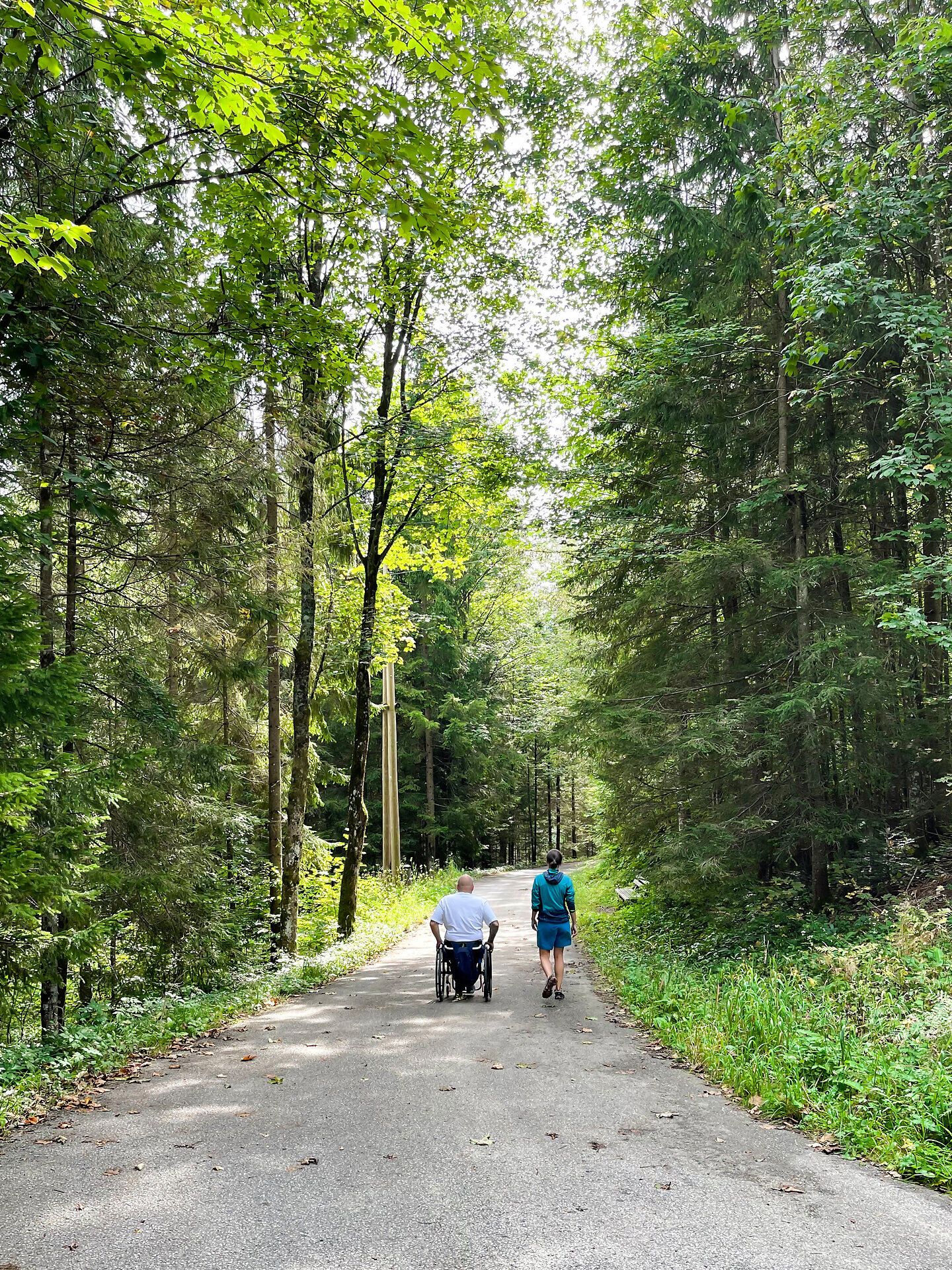 Ein sanfter Weg schlängelt sich durch die üppige, grüne Landschaft, umgeben von hohen Bäumen, die einladenden Schatten spenden. Ein älterer Mann im Rollstuhl genießt die frische Luft, während ein Begleiter ihn behutsam begleitet. Diese friedliche Szenerie lädt dazu ein, die Schönheit der Natur zu erleben und die Seele baumeln zu lassen.