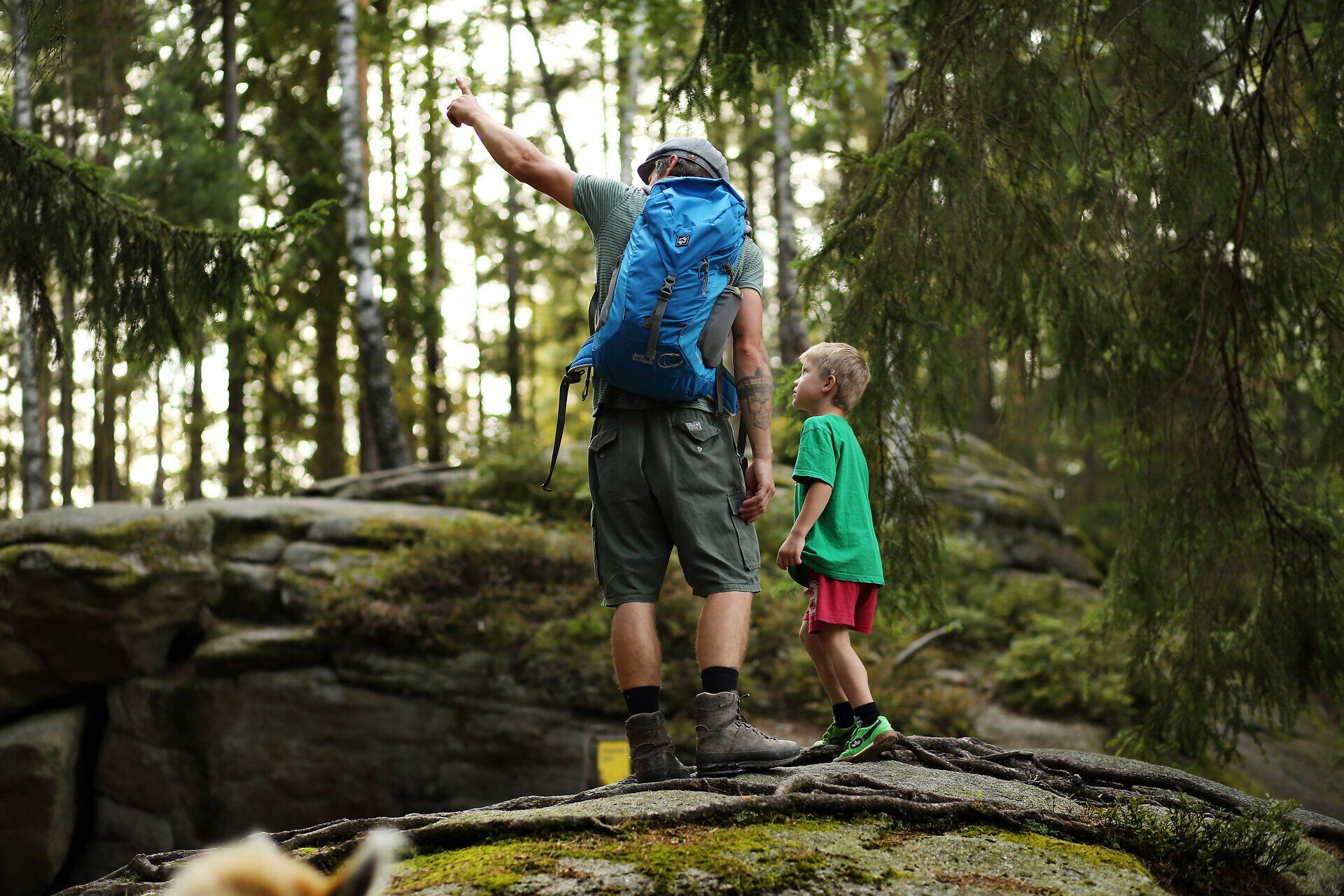 Ein Vater und sein Sohn erkunden gemeinsam die unberührte Natur, während sie auf einem moosbedeckten Felsen stehen. Die sanften Lichtstrahlen, die durch die Bäume fallen, schaffen eine magische Atmosphäre, die zum Staunen einlädt. Hier, inmitten der grünen Wälder, wird die Freude am Entdecken und die Verbundenheit zur Natur spürbar.