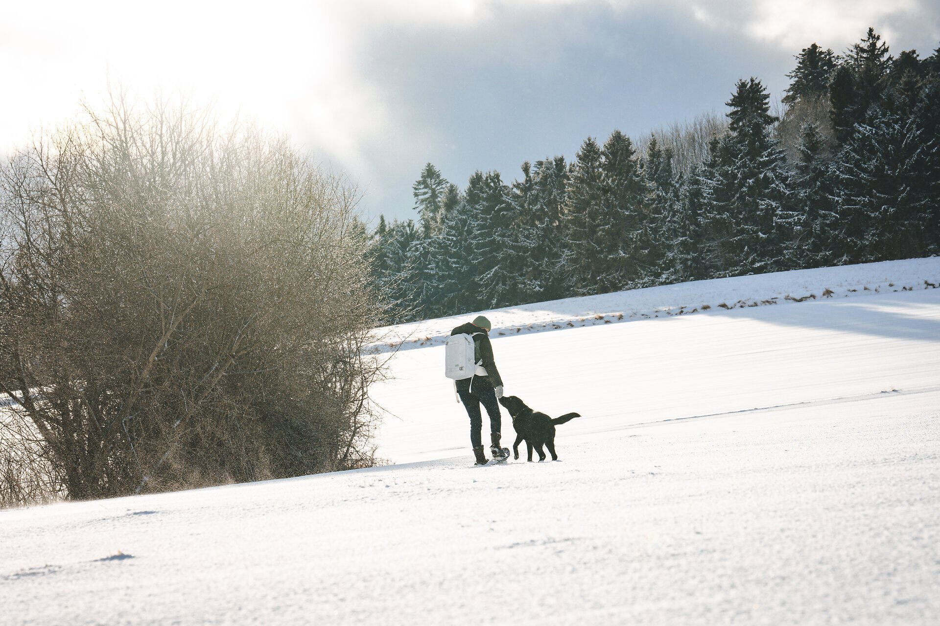 Ein verschneiter Wintertag lädt zu einem unvergesslichen Abenteuer ein. Mit einem treuen Hund an der Seite erkundet man die glitzernde Schneelandschaft, während die Bäume sanft im Wind wiegen. Die frische, klare Luft und die unberührte Natur schaffen eine perfekte Kulisse für Schneeschuhwanderungen.