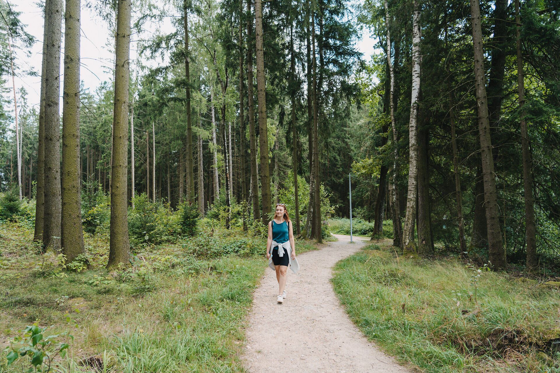 Ein sanfter Pfad schlängelt sich durch die üppige, grüne Landschaft des Naturparks, umgeben von hohen Bäumen und dem beruhigenden Gesang der Vögel. Die frische Luft und das sanfte Licht schaffen eine einladende Atmosphäre, die zum Verweilen und Entspannen einlädt.