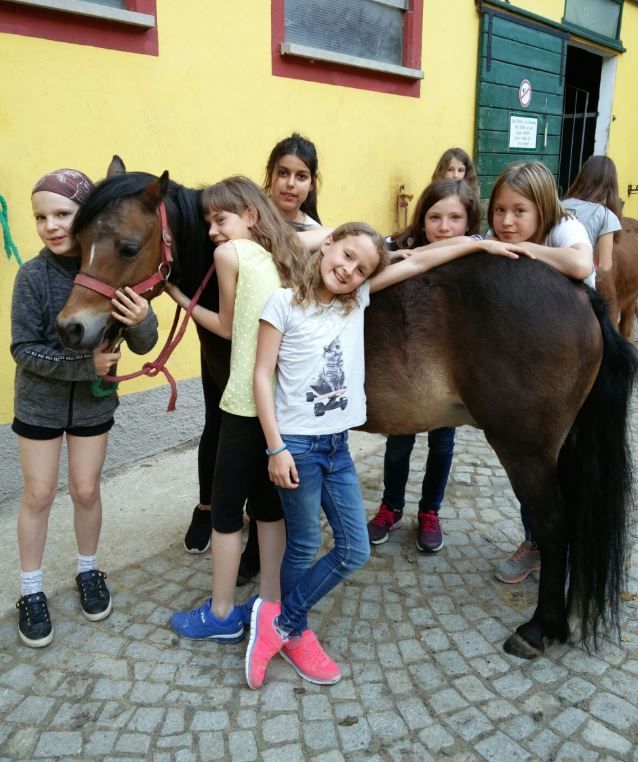 Pony-Kuscheln