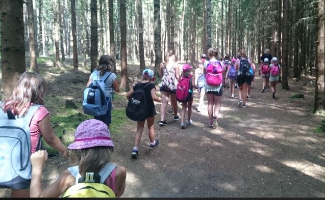 Forest hike_1, &copy; Franz Inghofer