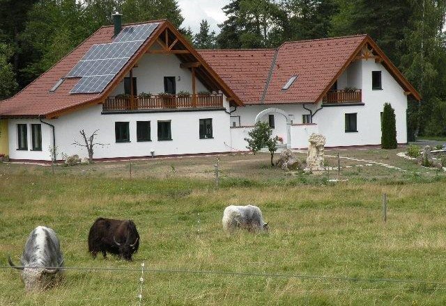 Ein modernes Bauernhaus mit Solarpanelen auf dem Dach, umgeben von einer Wiese mit grasenden Yaks.