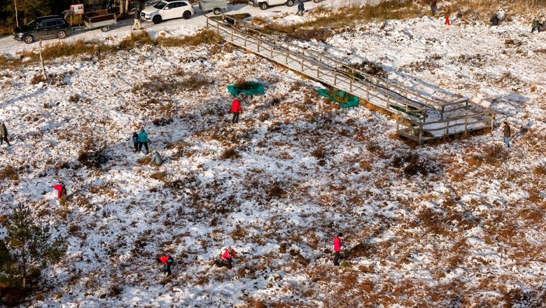 Pflegeeinsatz im Moor - tatkräftig angepackt, © Wolfgang Dolak