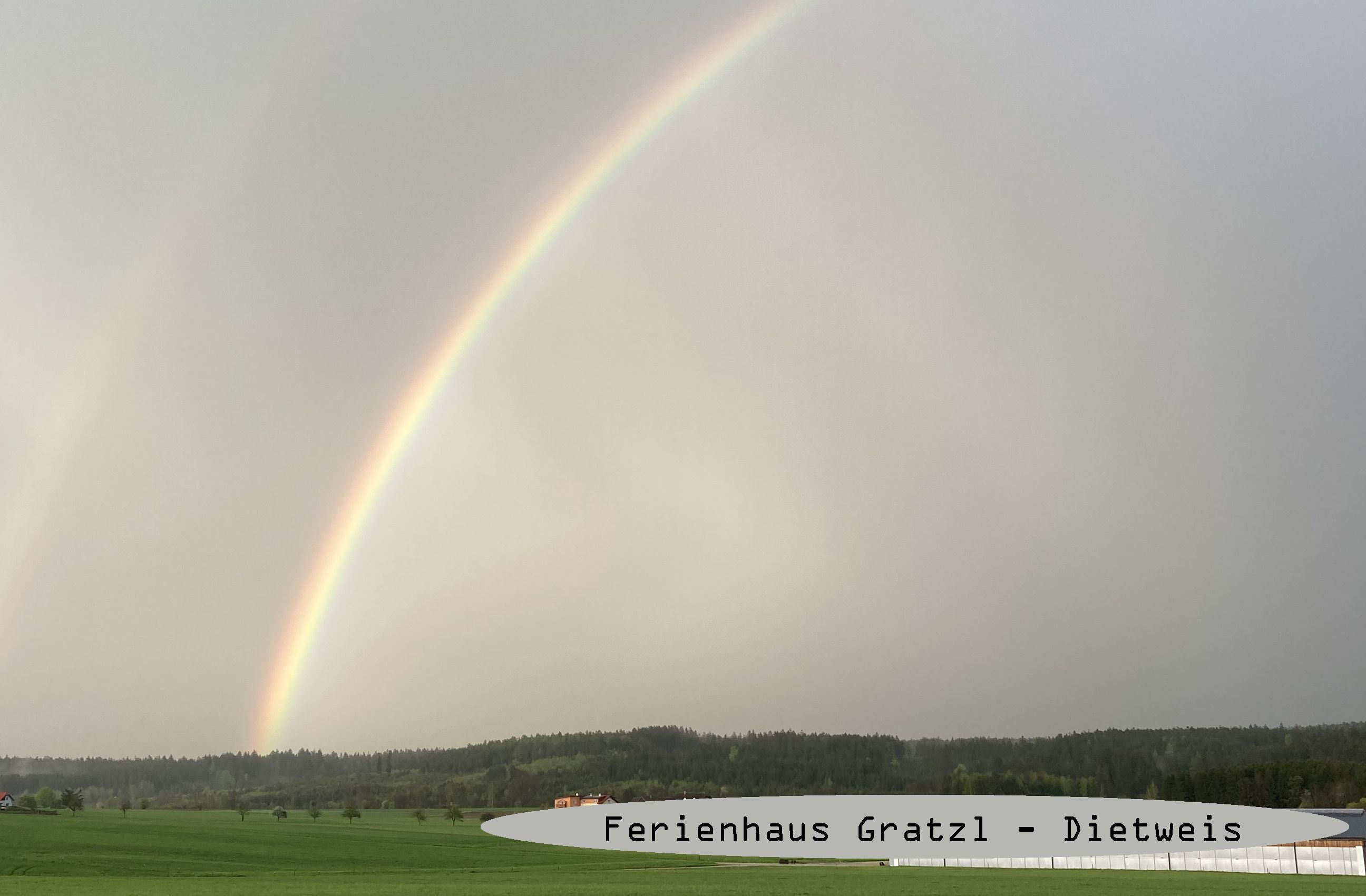 Fernblick
