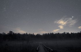 Nachts im Naturpark, © Günther Wuchterl