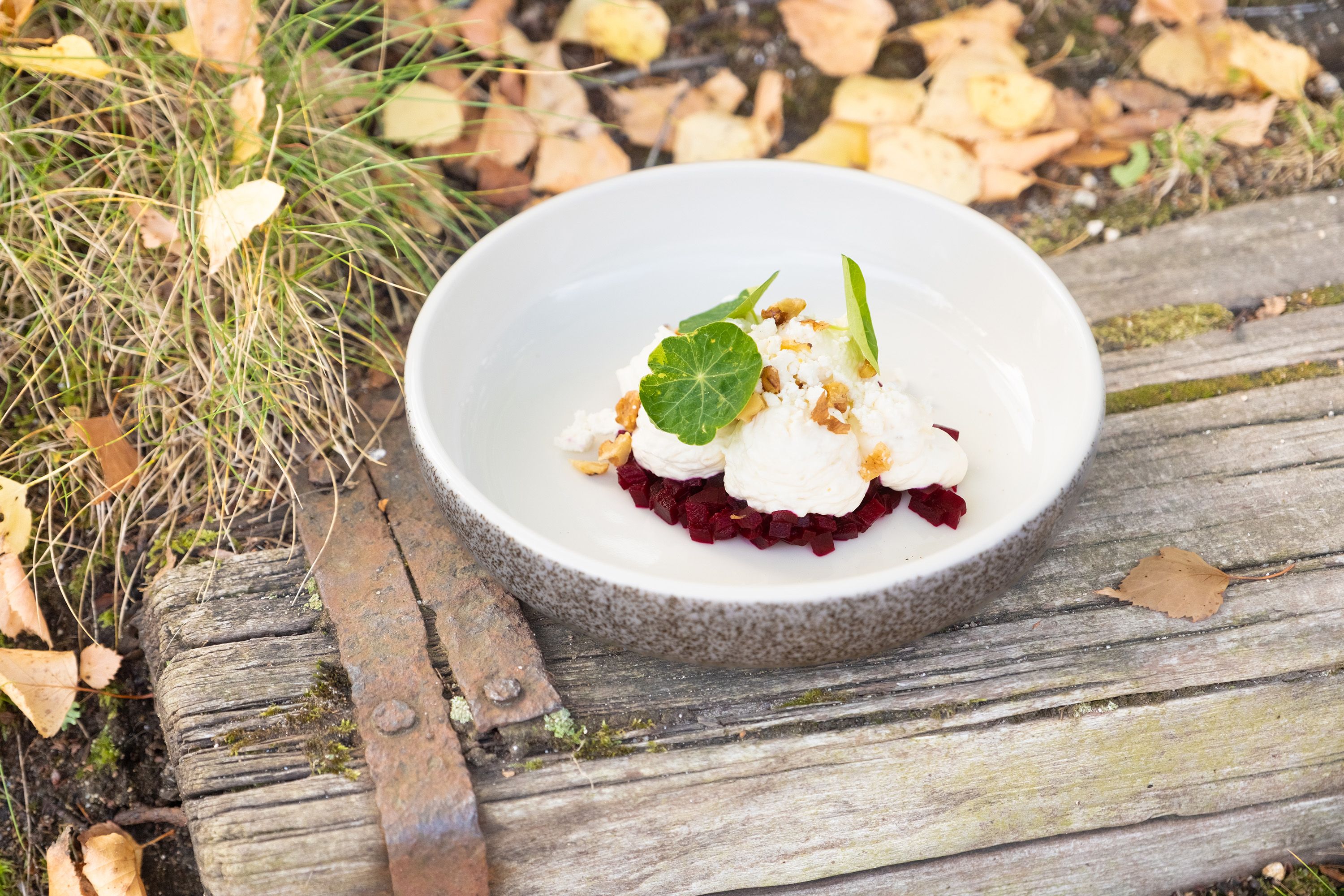 Ein Teller mit Krenmousse auf Roter Bete, garniert mit Walnüssen und grünen Blättern, steht auf einem rustikalen Holztisch mit Herbstlaub.