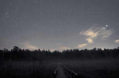 Nachts im Naturpark, © Günther Wuchterl