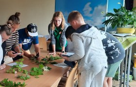 Moorworkshop im Naturparkzentrum, © Verena Ruso