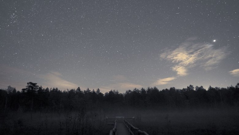 Nachts im Naturpark, © Günther Wuchterl