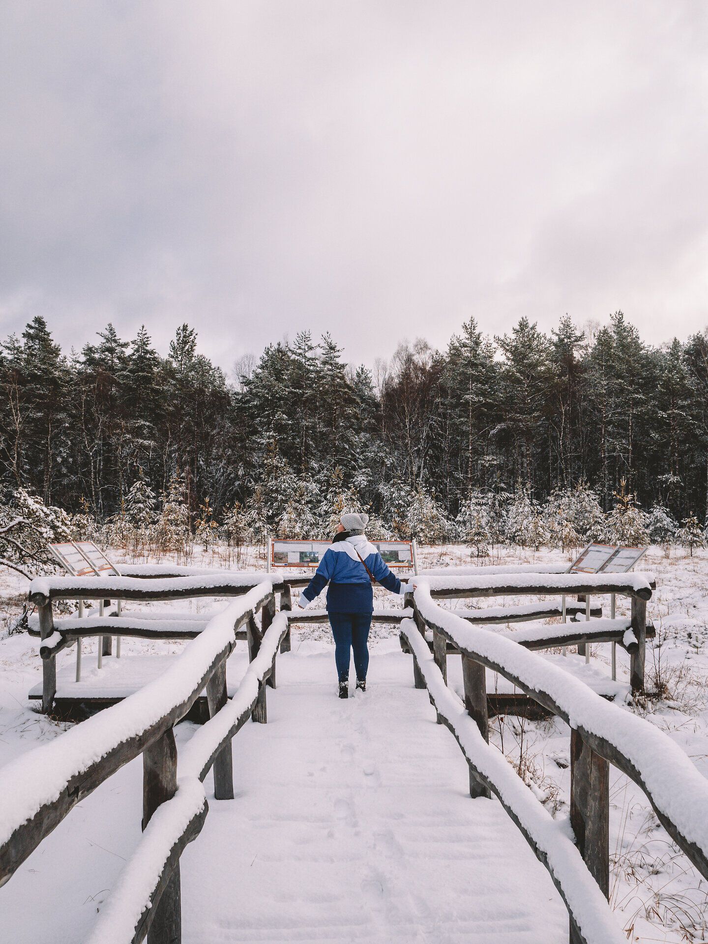 Ein verschneiter Pfad führt durch die stille Winterlandschaft, umgeben von schneebedeckten Bäumen, die sanft im Wind wiegen. Die frische, klare Luft lädt zu einem besinnlichen Spaziergang ein, während die sanften Hügel des Moorgebiets im Hintergrund eine malerische Kulisse bieten.