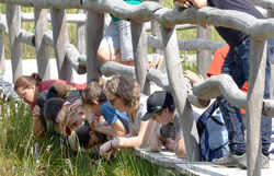 Kinder liegen auf einer Holzplattform und betrachten die Mooroberfläche aus der Nähe