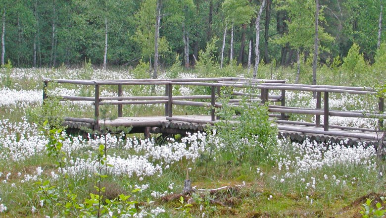 Raised bog, © Wolfgang Dolak