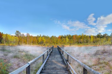 Footbridge, © Horst Dolak