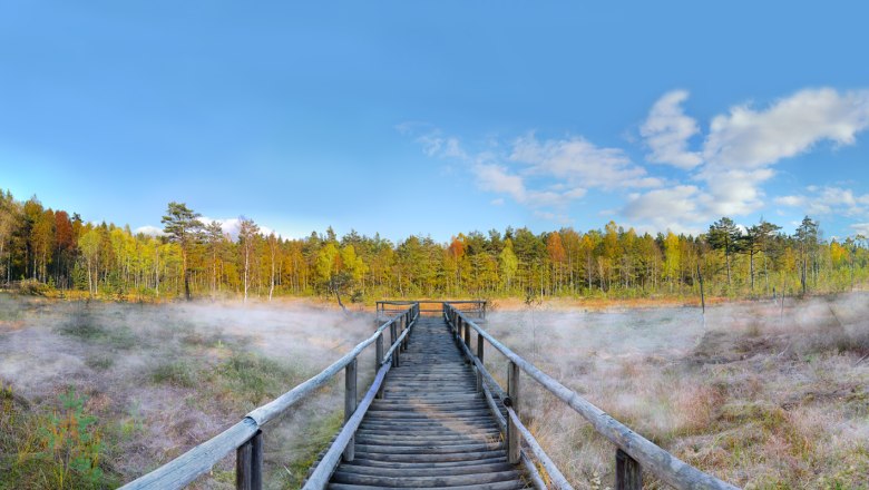 Footbridge, © Horst Dolak