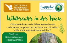 Wildkräuter in der Wiese, © Sonja Appel