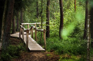Moortretanlage, © Waldviertel Tourismus, weinfranz