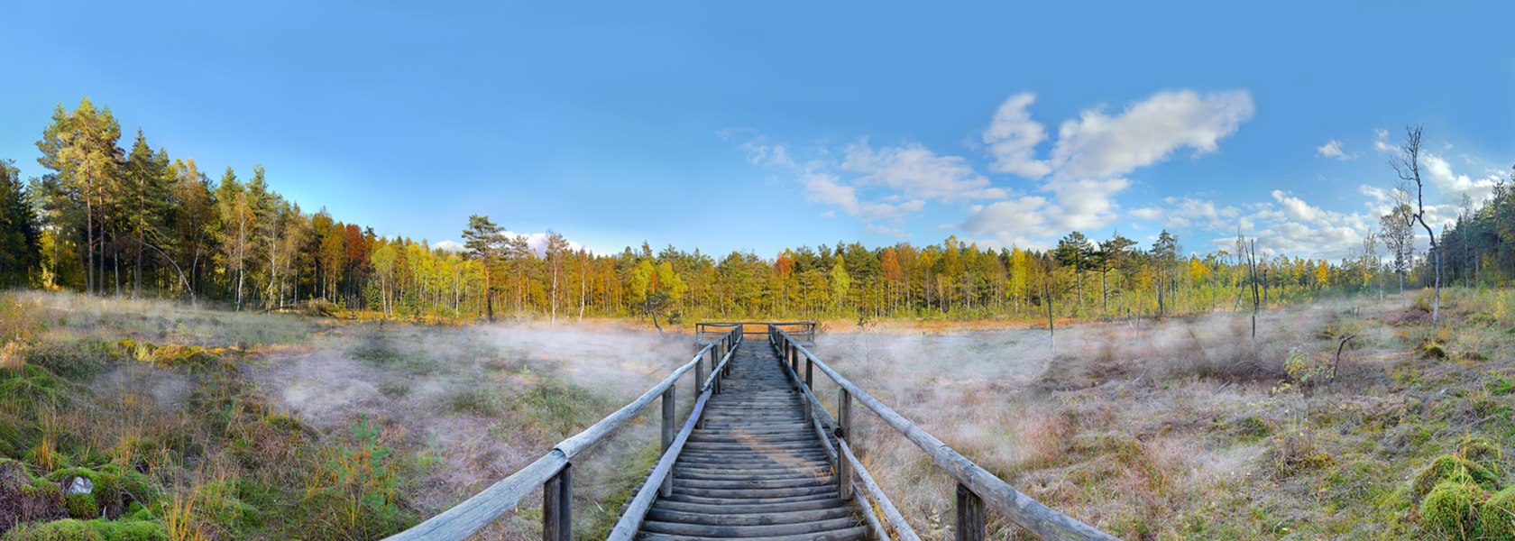 Prügelsteg im Nebel, © Horst Dolak