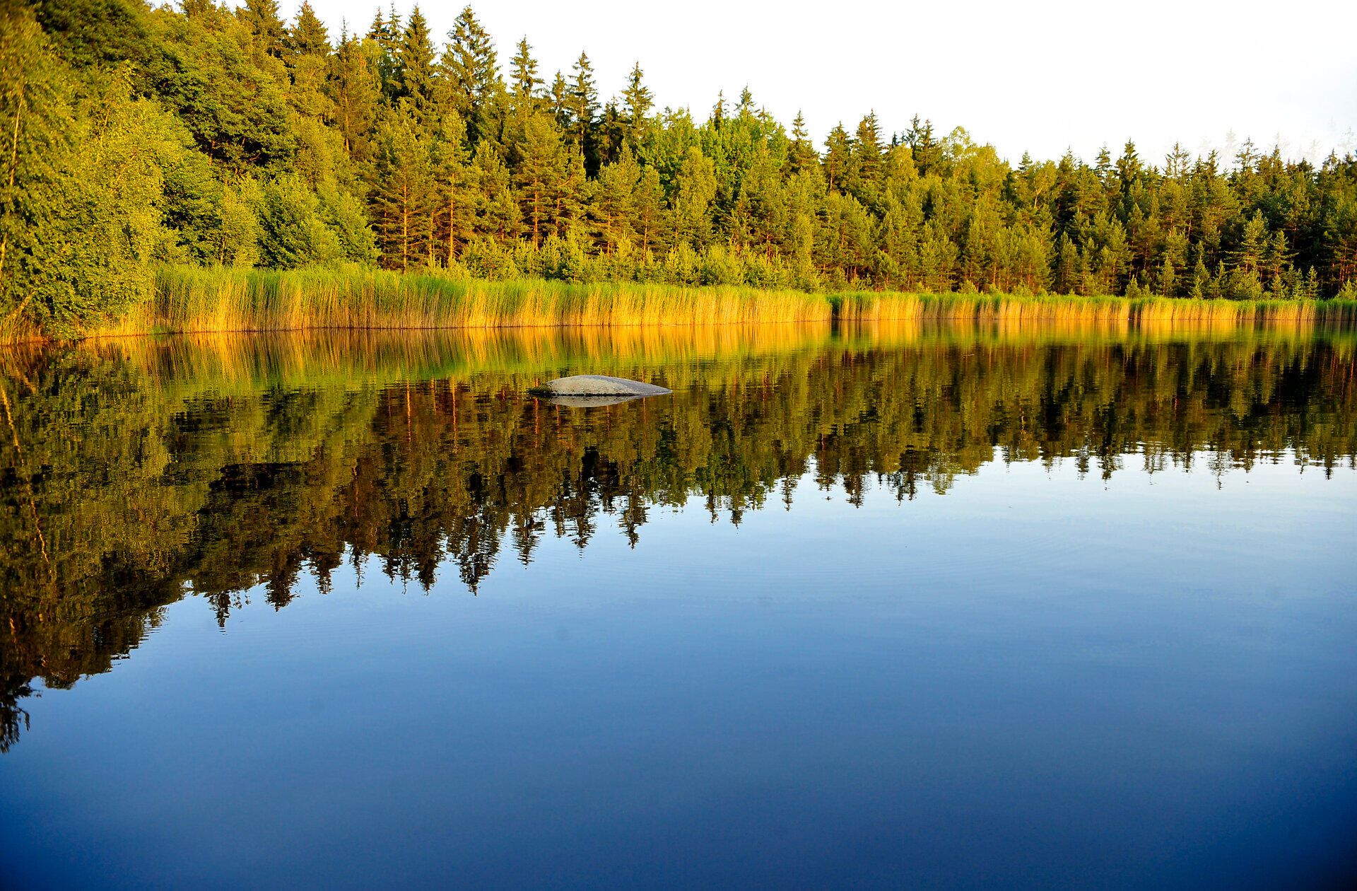 Die sanften Wellen des Wassers spiegeln die üppige Vegetation wider, während die warmen Sonnenstrahlen die Landschaft in ein goldenes Licht tauchen. Hier, im Herzen des Naturparks, entfaltet sich die Ruhe der Natur und lädt zu erholsamen Spaziergängen ein.