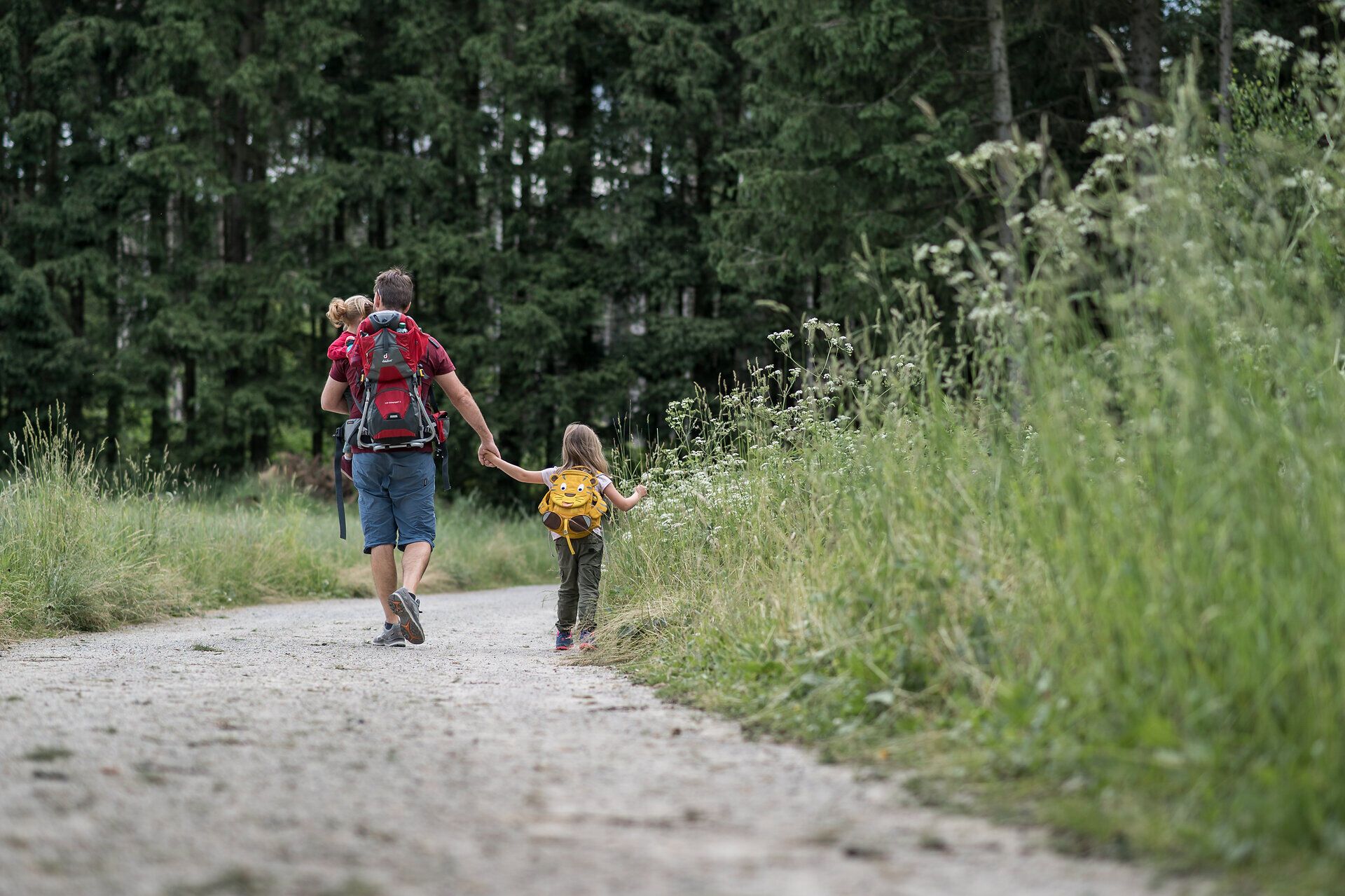 Eine Familie genießt einen unvergesslichen Tag in der Natur, während sie den malerischen Naturparkweg entlang wandert. Umgeben von üppigem Grün und dem sanften Rascheln der Blätter, erleben sie die Schönheit des Hochmoors und die frische Luft, die die Sinne belebt.
