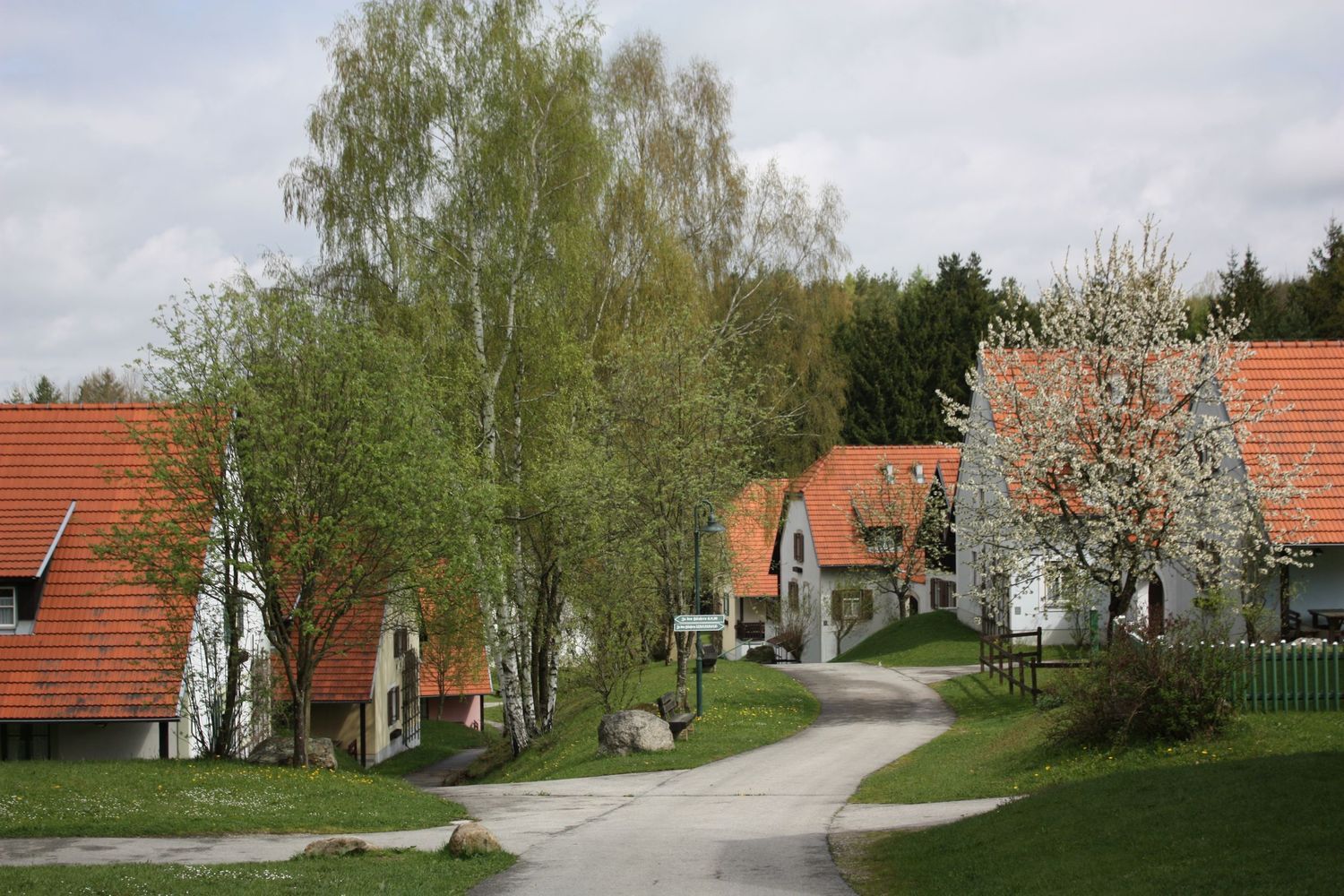 Ein Dorf mit roten Dächern und blühenden Bäumen im Frühling.